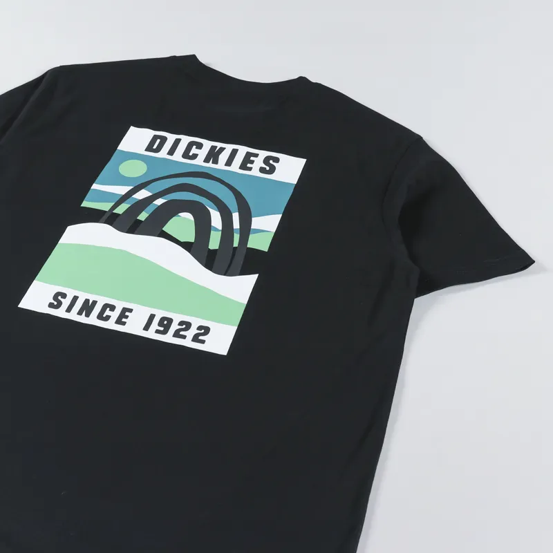 Dickies Baker City T Shirt Black-5