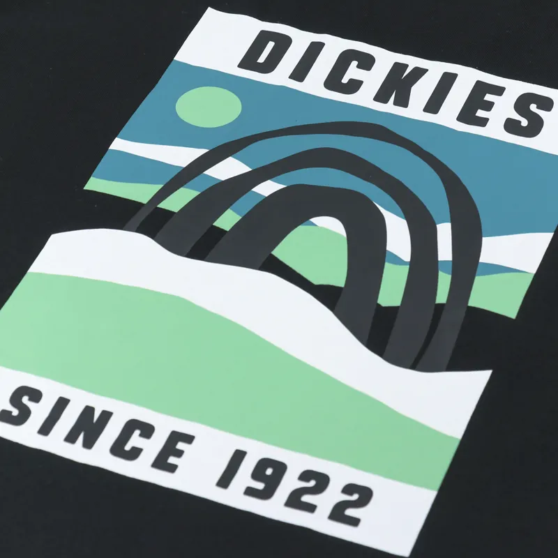 Dickies Baker City T Shirt Black-6