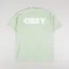 Obey Bold Obey 2 T Shirt Cucumber