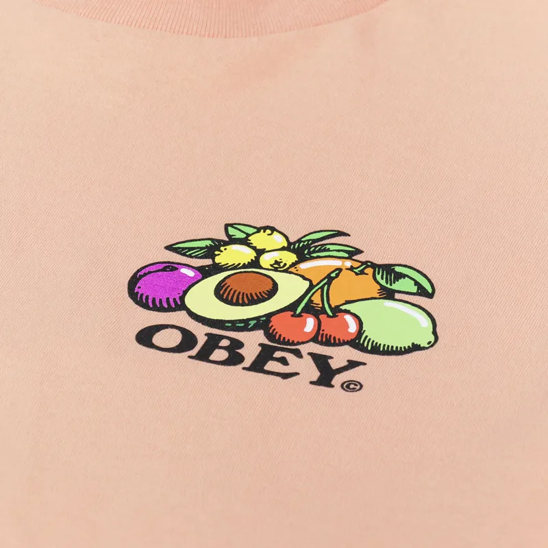Obey Bowl of Fruit T Shirt Citrus-5