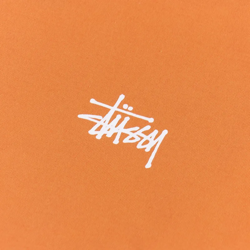 Stussy Basic Long Sleeve T Shirt Coral-5
