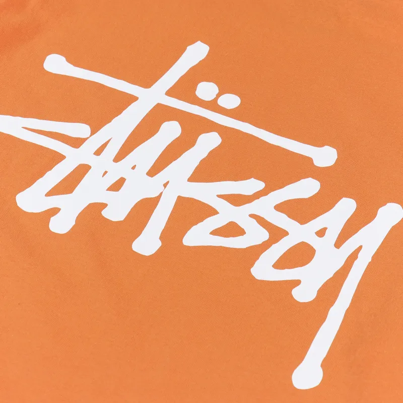 Stussy Basic Long Sleeve T Shirt Coral-4