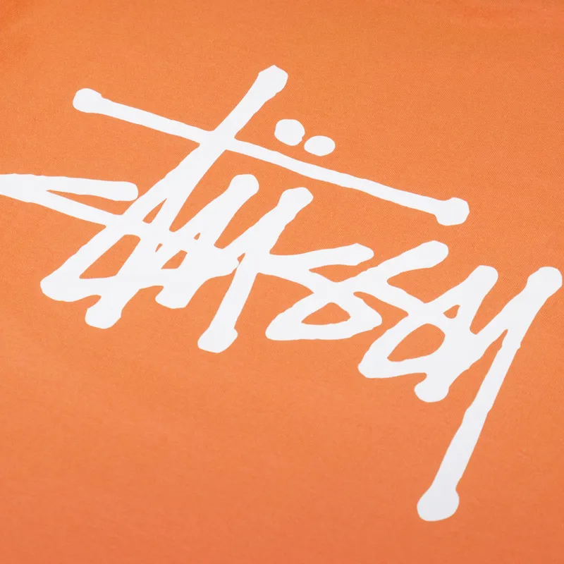 Stussy Basic T Shirt Coral-4