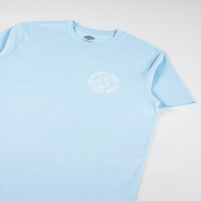 Dickies Bayside Gardens T Shirt Sky Blue-3