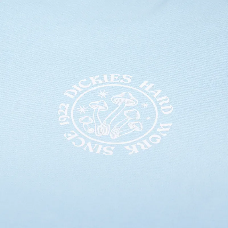 Dickies Bayside Gardens T Shirt Sky Blue-5