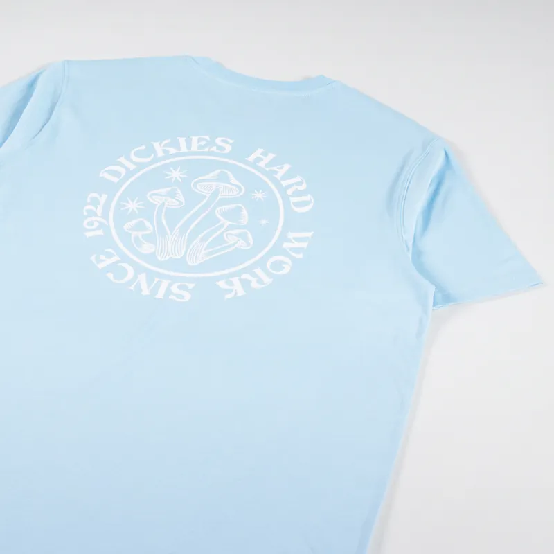 Dickies Bayside Gardens T Shirt Sky Blue-2