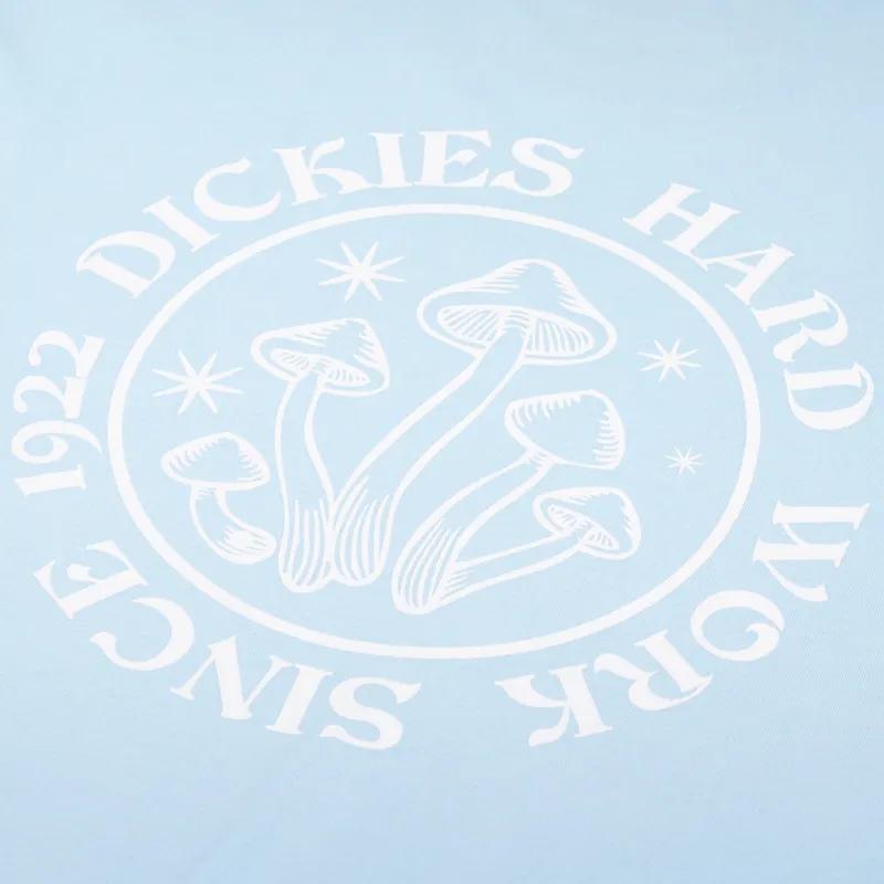 Dickies Bayside Gardens T Shirt Sky Blue-4