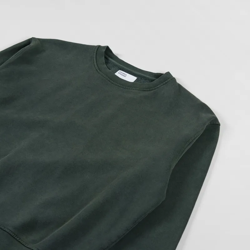 Colorful Standard Womens Classic Organic Crew Sweat Midnight Forest-6