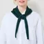 Colorful Standard Womens Merino Wool Triangle Scarf Emerald Green