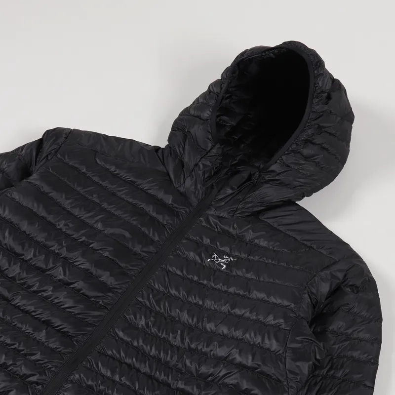 Arc'teryx Cerium SL Insulated Down Hoody Black-3