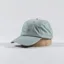 Dime Classic Silicone Logo Cap Sage