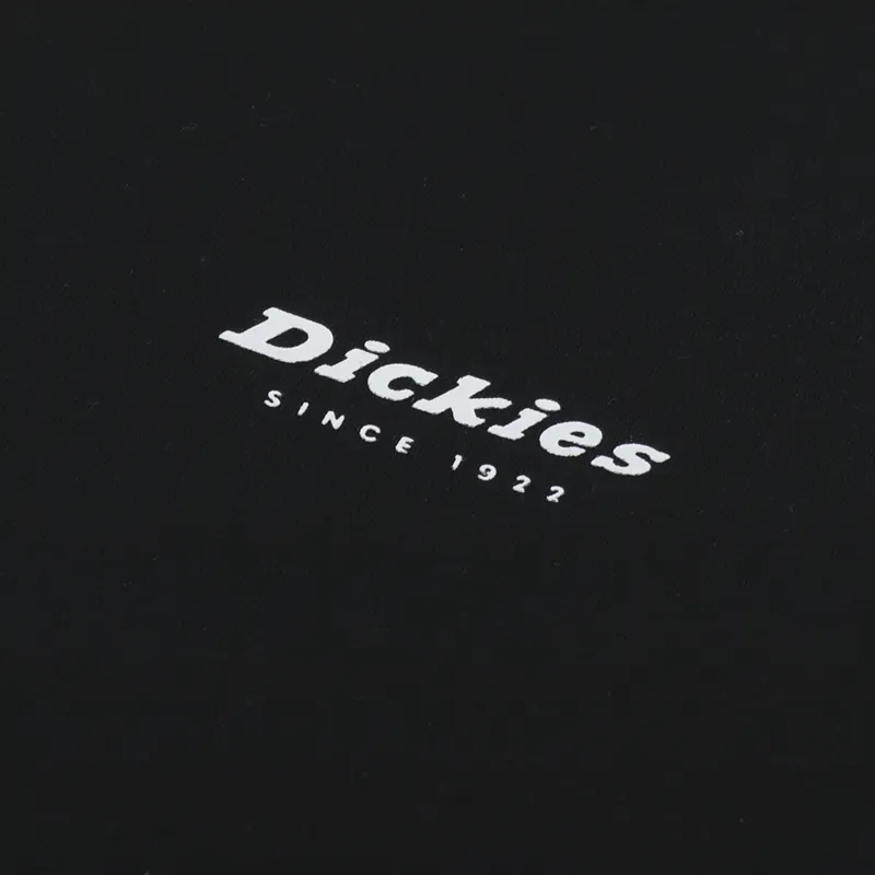 Dickies Camden Box T Shirt Black-5
