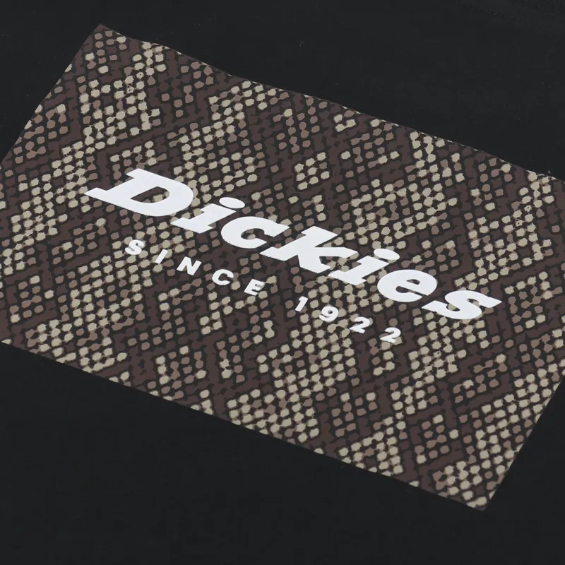 Dickies Camden Box T Shirt Black-4