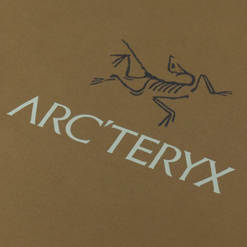 Arc'teryx Captive Arc'Word Long Sleeve T Shirt Relic-4