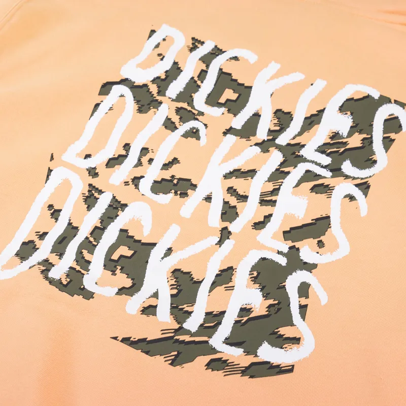 Dickies Creswell Hoodie Papaya Smoothie-4