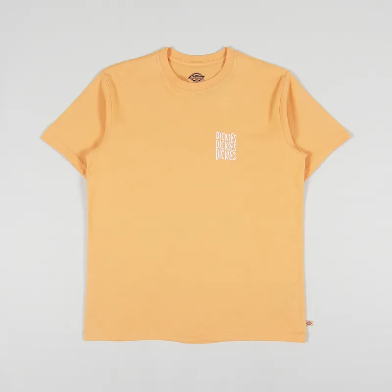 Dickies Creswell T Shirt Papaya Smoothie-1