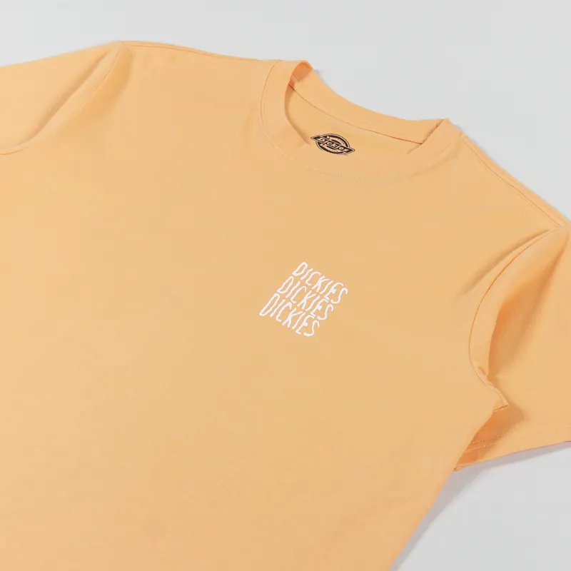 Dickies Creswell T Shirt Papaya Smoothie-3