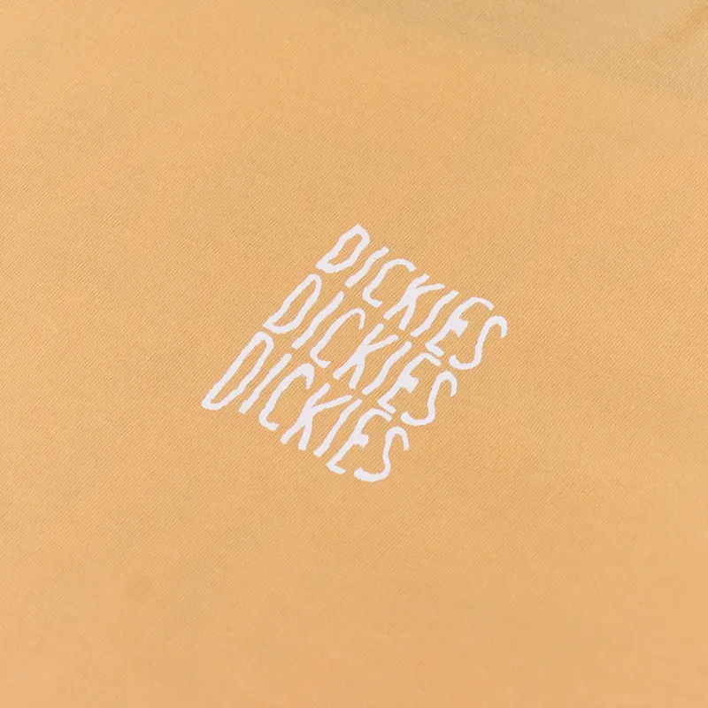 Dickies Creswell T Shirt Papaya Smoothie-5