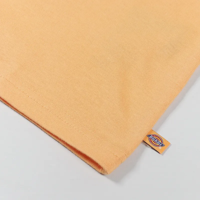 Dickies Creswell T Shirt Papaya Smoothie-6