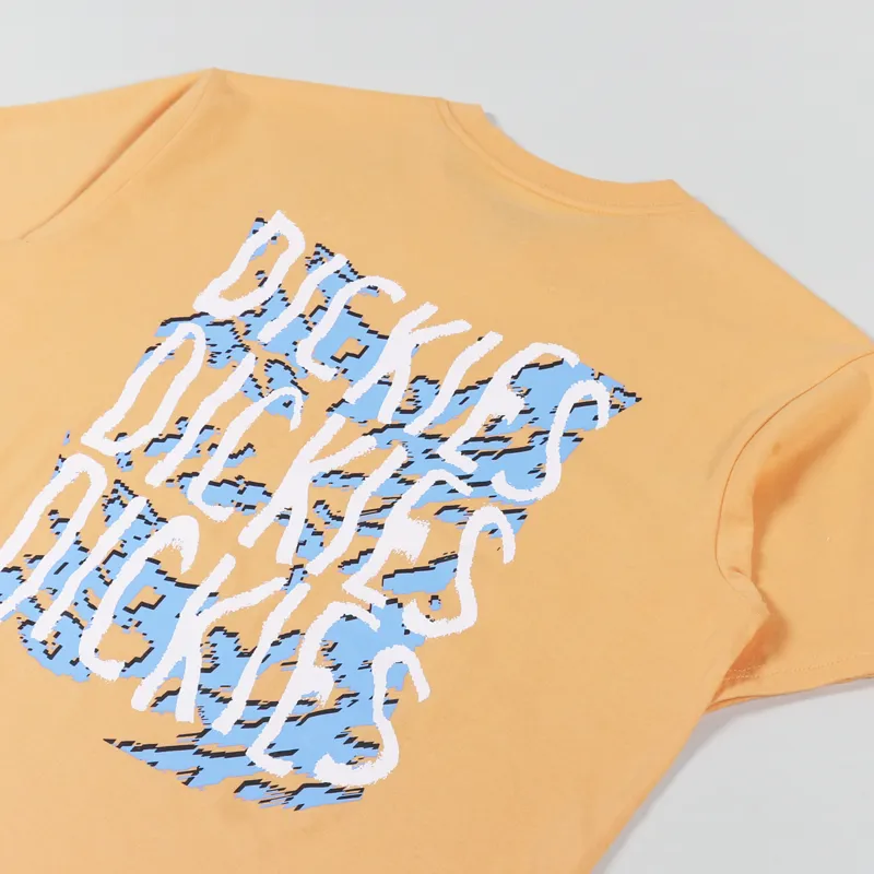 Dickies Creswell T Shirt Papaya Smoothie-2