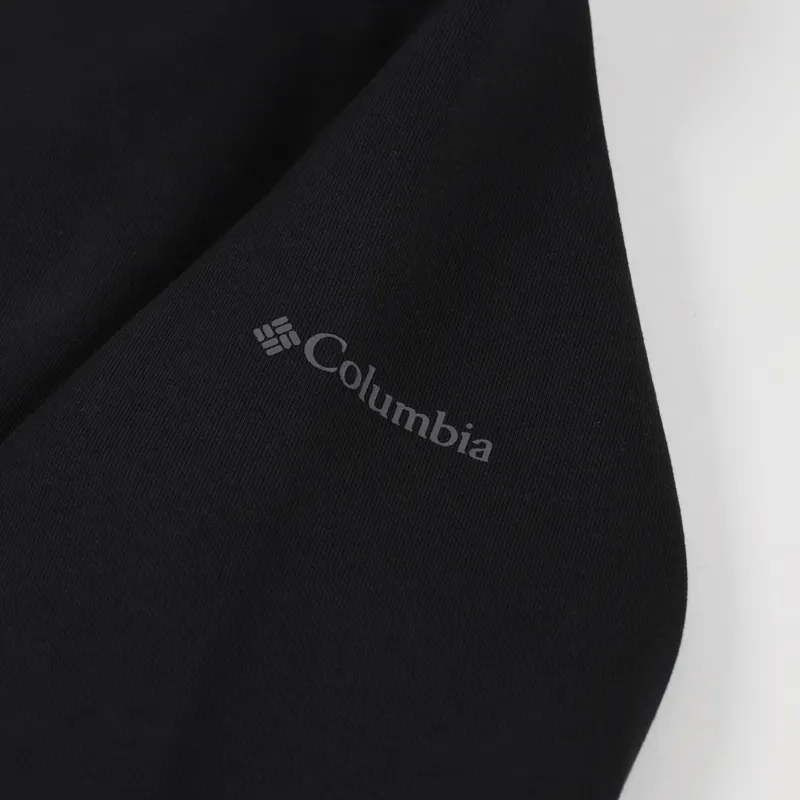 Columbia CSC Basic Logo II Hoodie Black-6
