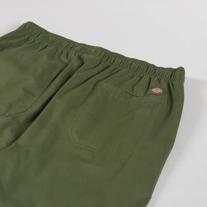 Dickies Pelican Rapids Shorts Cypress-3
