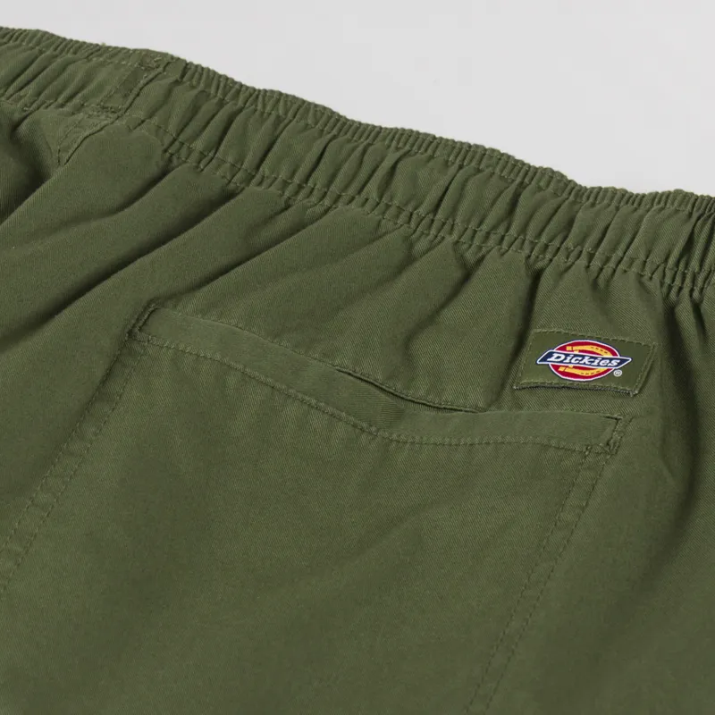 Dickies Pelican Rapids Shorts Cypress-7