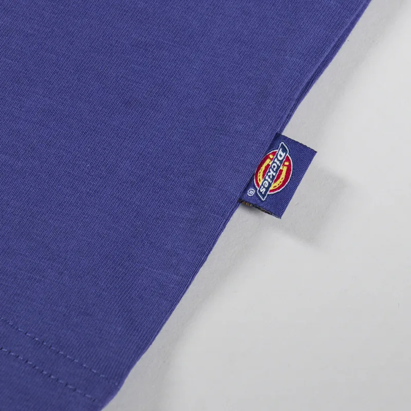 Dickies Mapleton T Shirt Skipper Blue-3