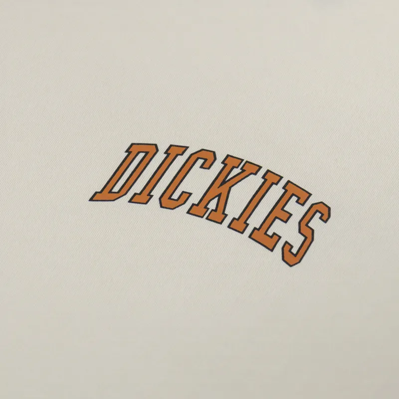 Dickies Aitkin Chest T Shirt Wood Ash-2