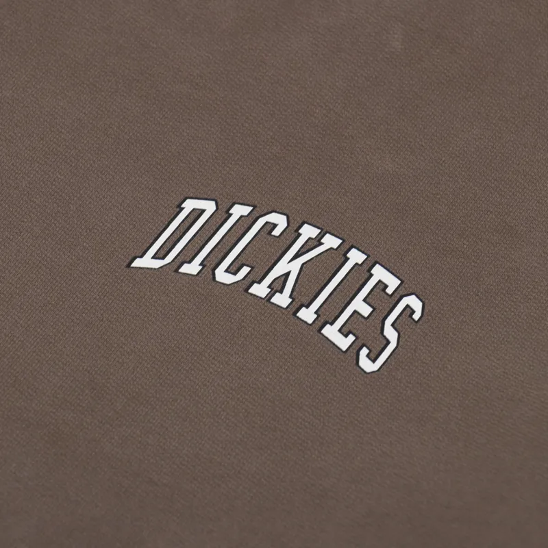 Dickies Aitkin Chest Sweatshirt Mushroom Cloud-4