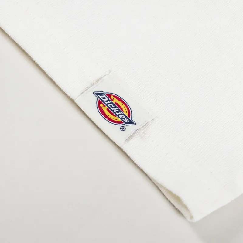 Dickies Kenbridge Long Sleeve T Shirt Cloud-7