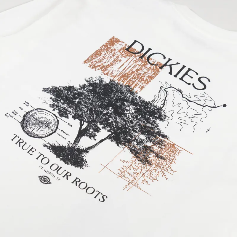 Dickies Kenbridge Long Sleeve T Shirt Cloud-4