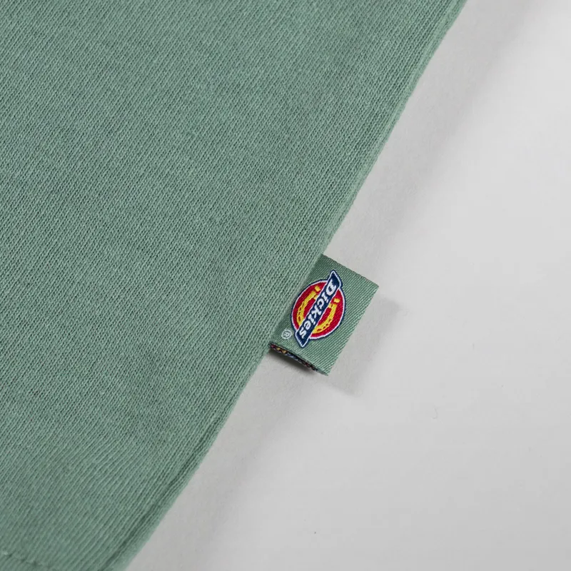 Dickies Clancy Heavyweight T Shirt Sea Spray-3