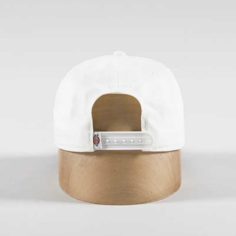 Dickies Hardwick Two Tone Cap Egret-3