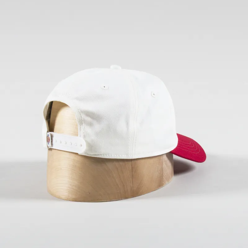 Dickies Hardwick Two Tone Cap Egret-1