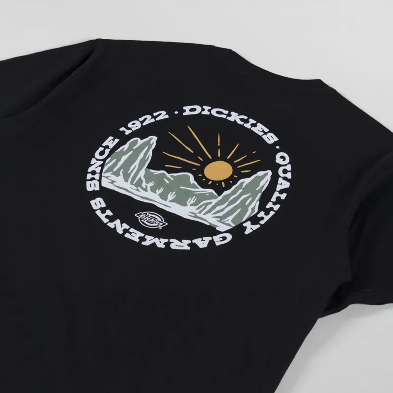 Dickies Outdoor T Shirt Black-2