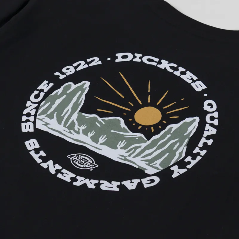 Dickies Outdoor T Shirt Black-4