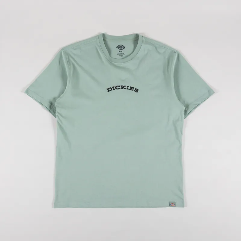 Dickies Outdoor T Shirt Iceberg Green-1