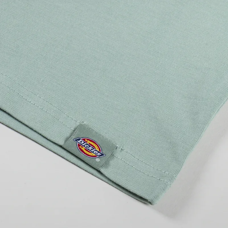 Dickies Outdoor T Shirt Iceberg Green-6