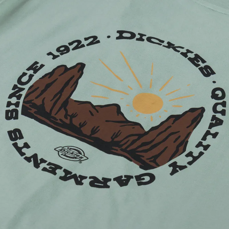 Dickies Outdoor T Shirt Iceberg Green-4