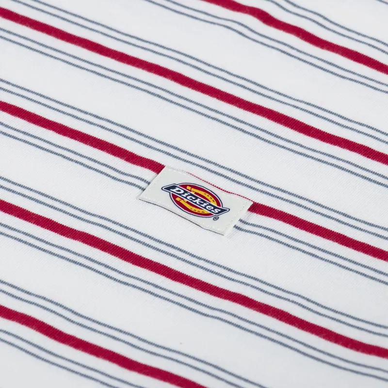 Dickies Lewistown Stripe T Shirt Egret-2