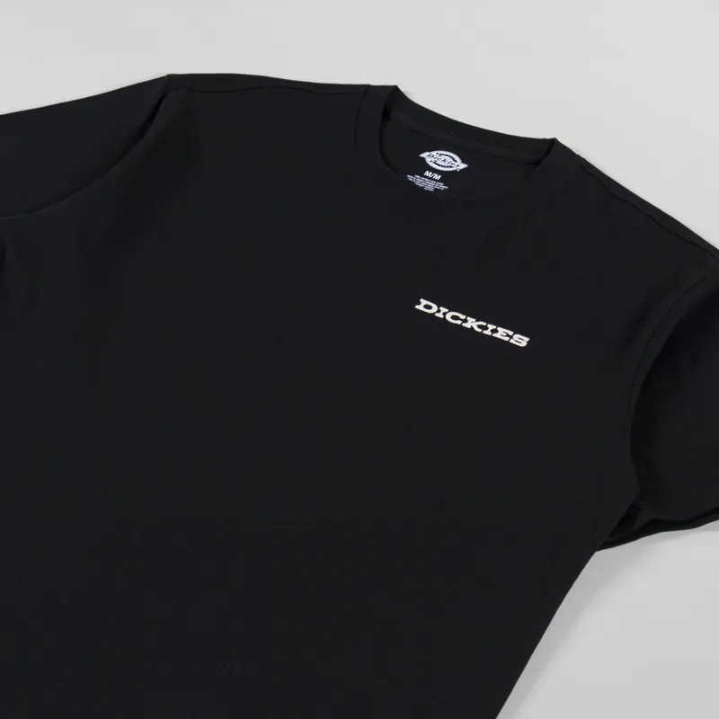 Dickies Landscape T Shirt Black-3