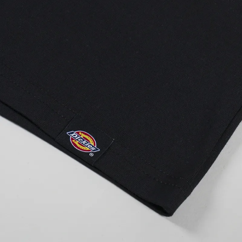 Dickies Landscape T Shirt Black-6