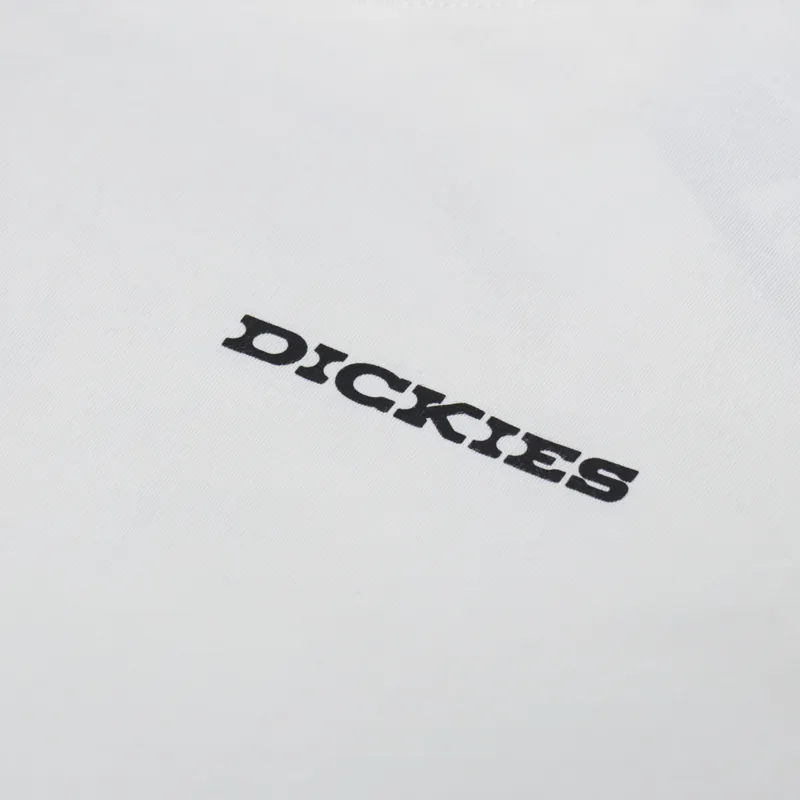 Dickies Landscape T Shirt Egret-5