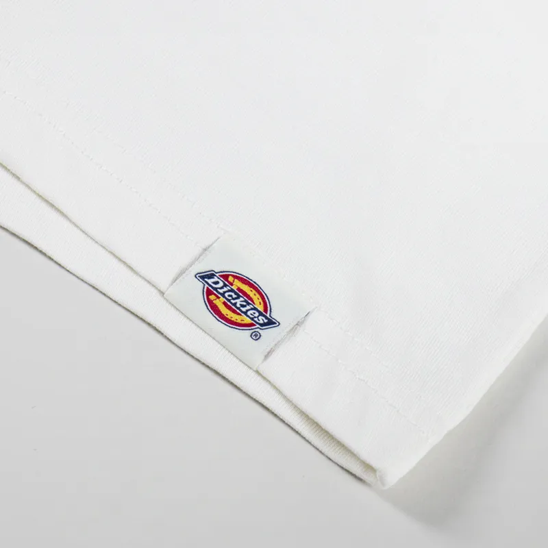 Dickies Landscape T Shirt Egret-6