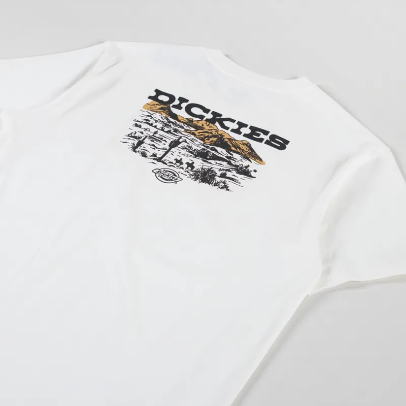 Dickies Landscape T Shirt Egret-2