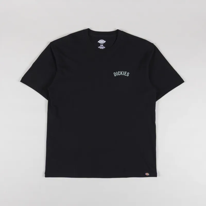 Dickies Snake T Shirt Black-1