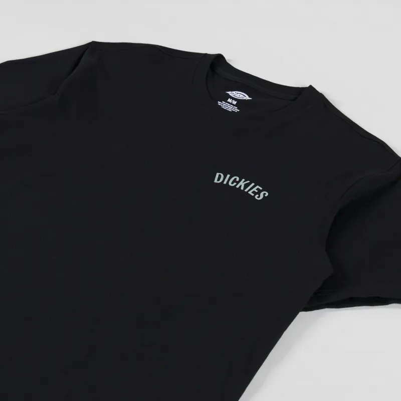 Dickies Snake T Shirt Black-3