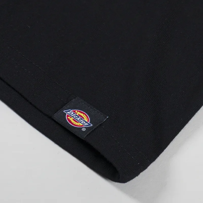 Dickies Snake T Shirt Black-6