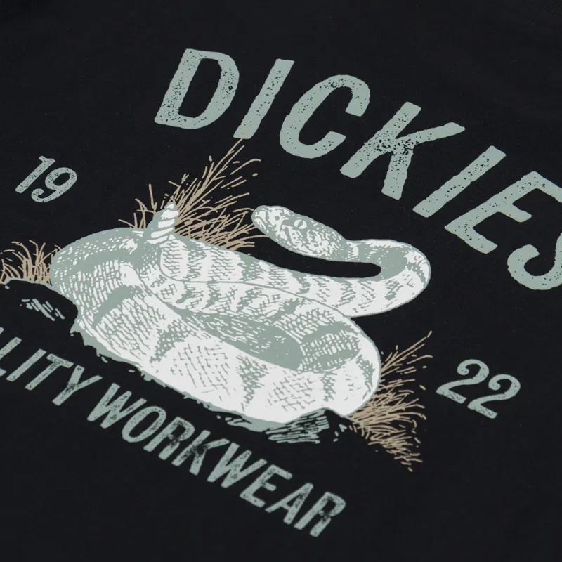 Dickies Snake T Shirt Black-4